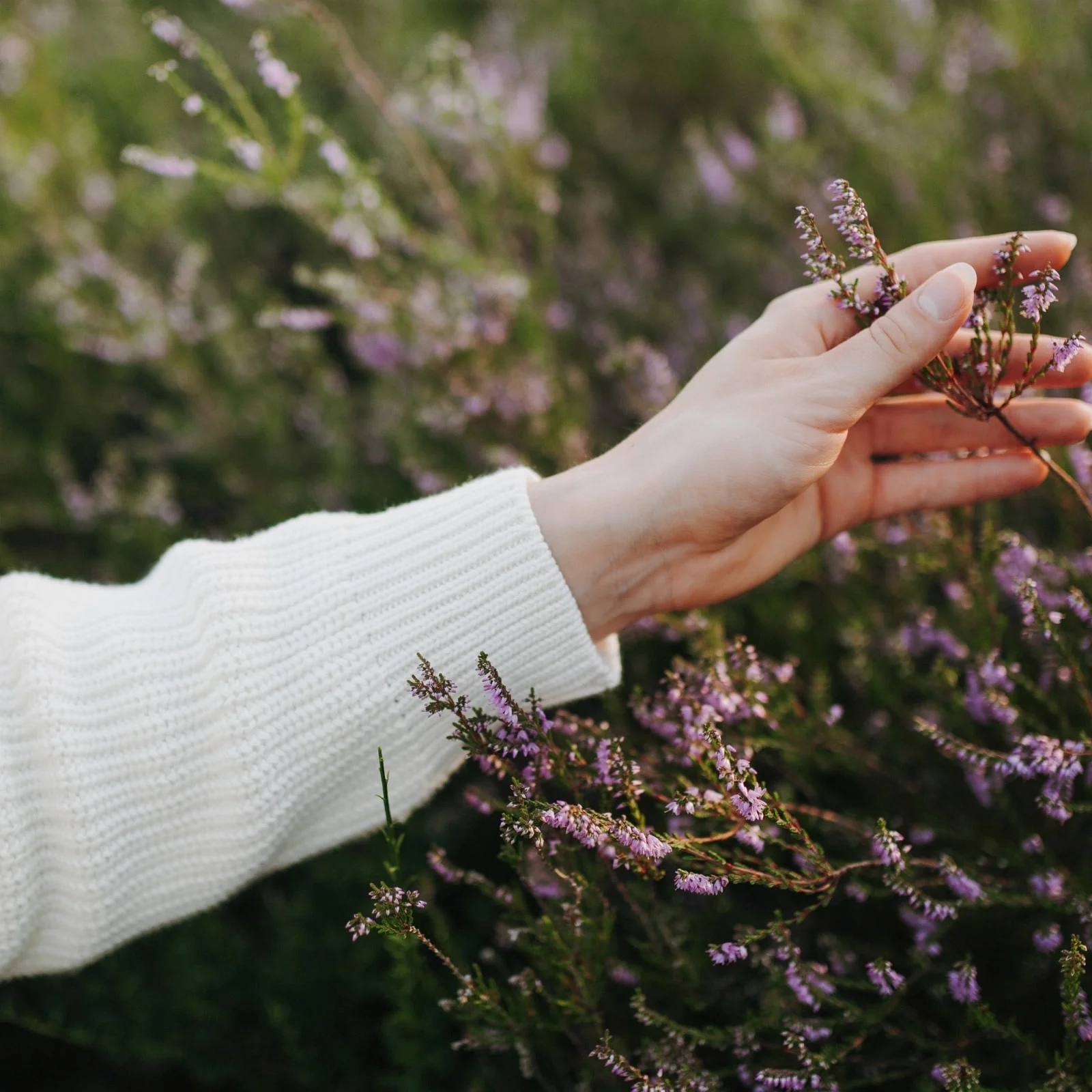 Grobstrick Pullover Mara - Image 16
